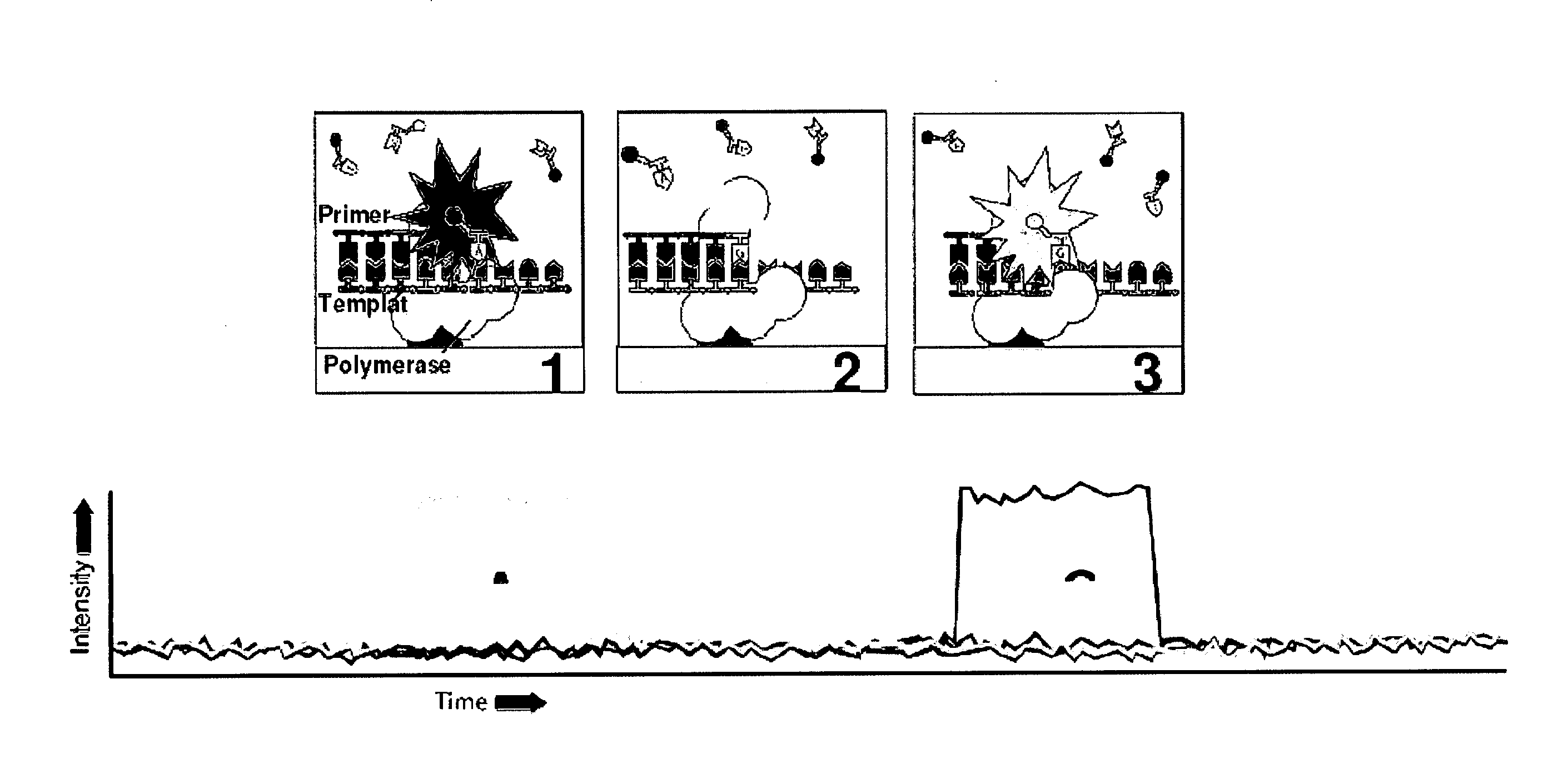 Nucleic acid sequencing methods and systems