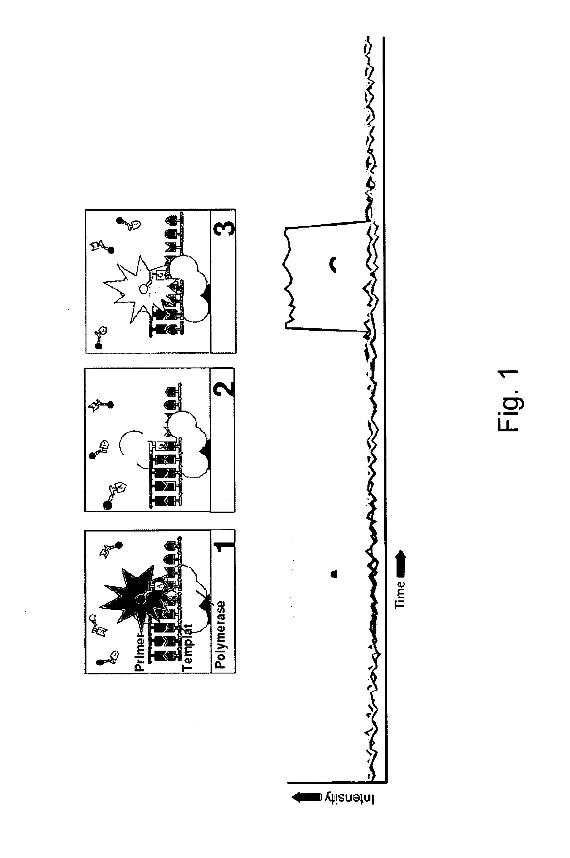 Nucleic acid sequencing methods and systems