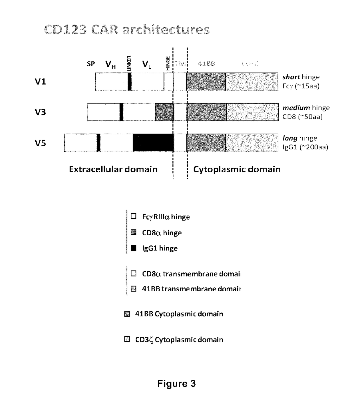 CD123 specific chimeric antigen receptors for cancer immunotherapy