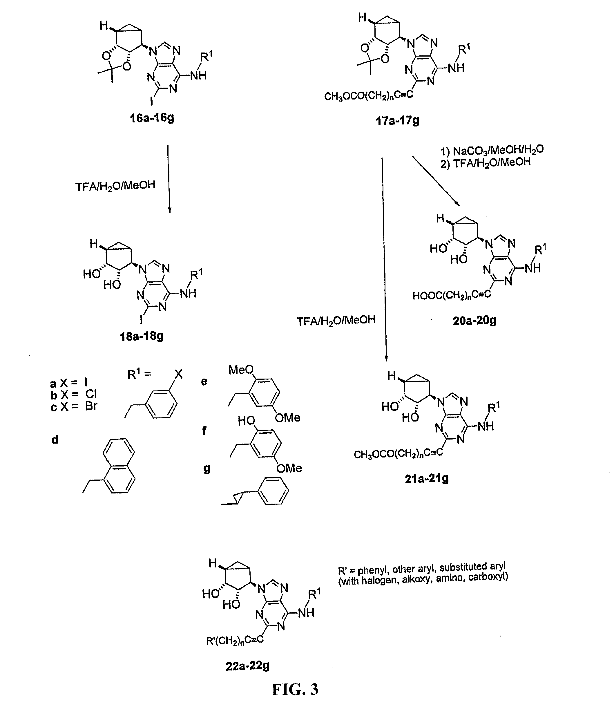 Adenosine receptor agonists, partial agonists, and antagonists