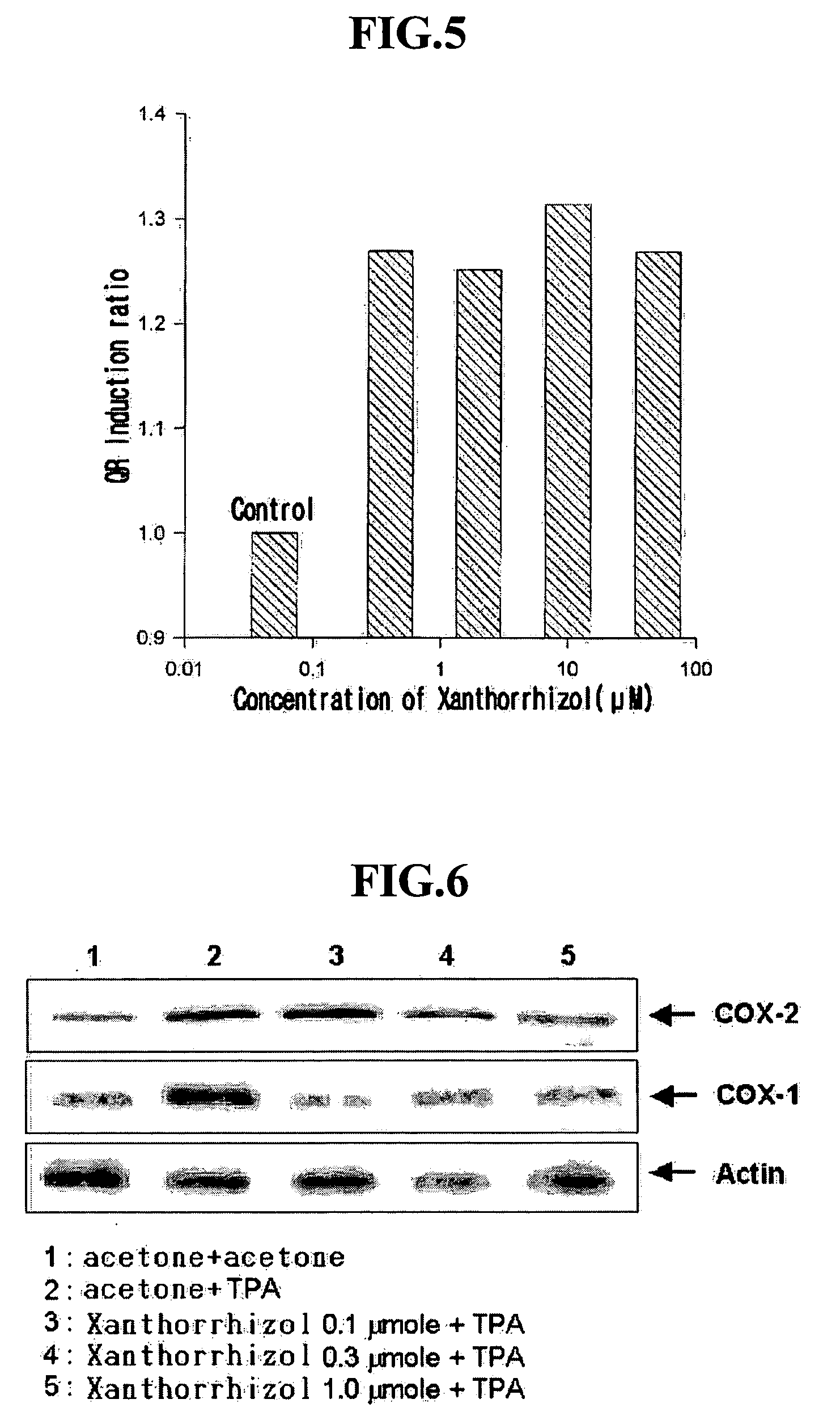 Pharmaceutical composition for preventing and treating cancer and treating an inflammation