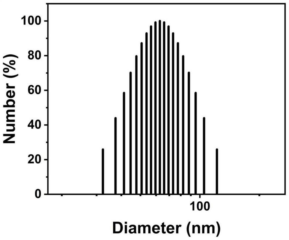 Porous rhodium nano-material as well as preparation method and anti-tumor application thereof