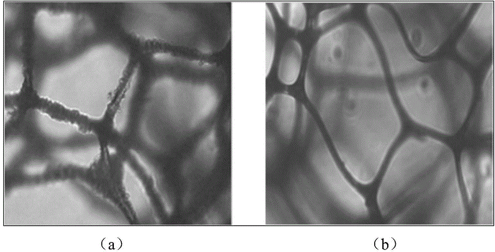 Modification method of oleophylic and hydrophobic nano-sponge