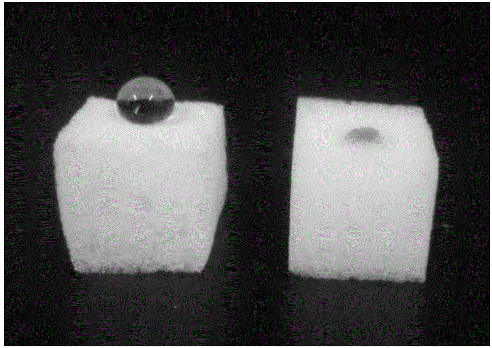 Modification method of oleophylic and hydrophobic nano-sponge