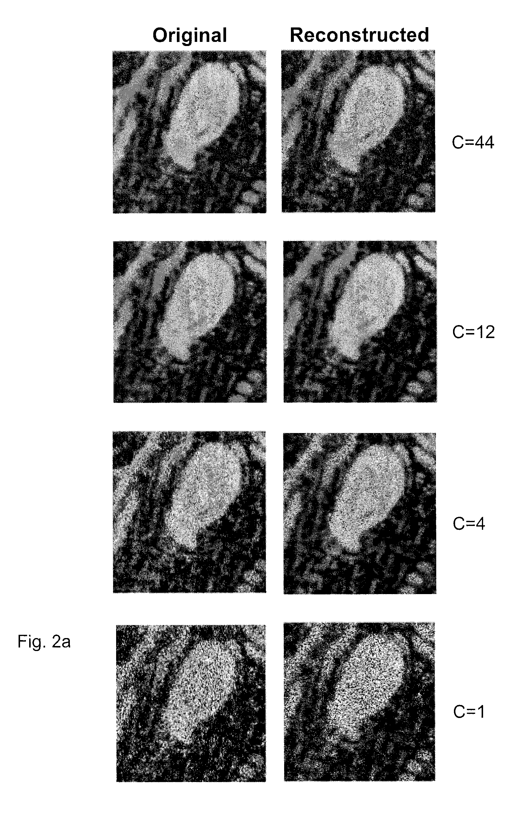 Efficient scanning for EM based target localization