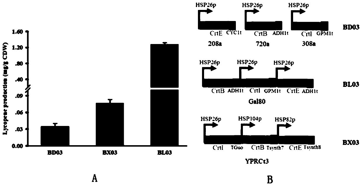 Recombinant yeast strain and application thereof