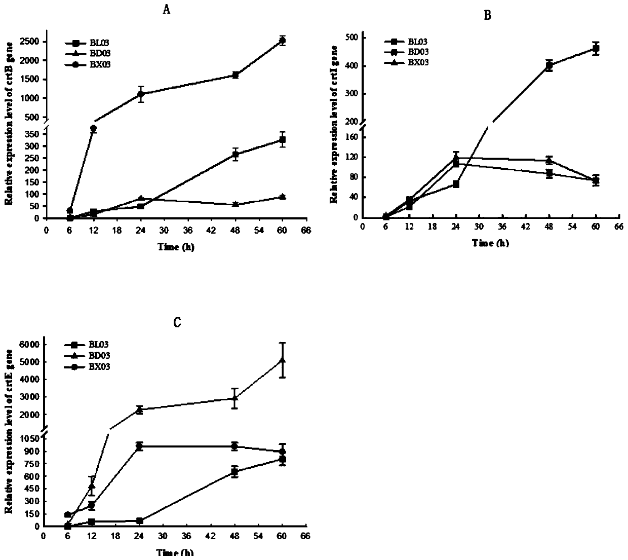 Recombinant yeast strain and application thereof