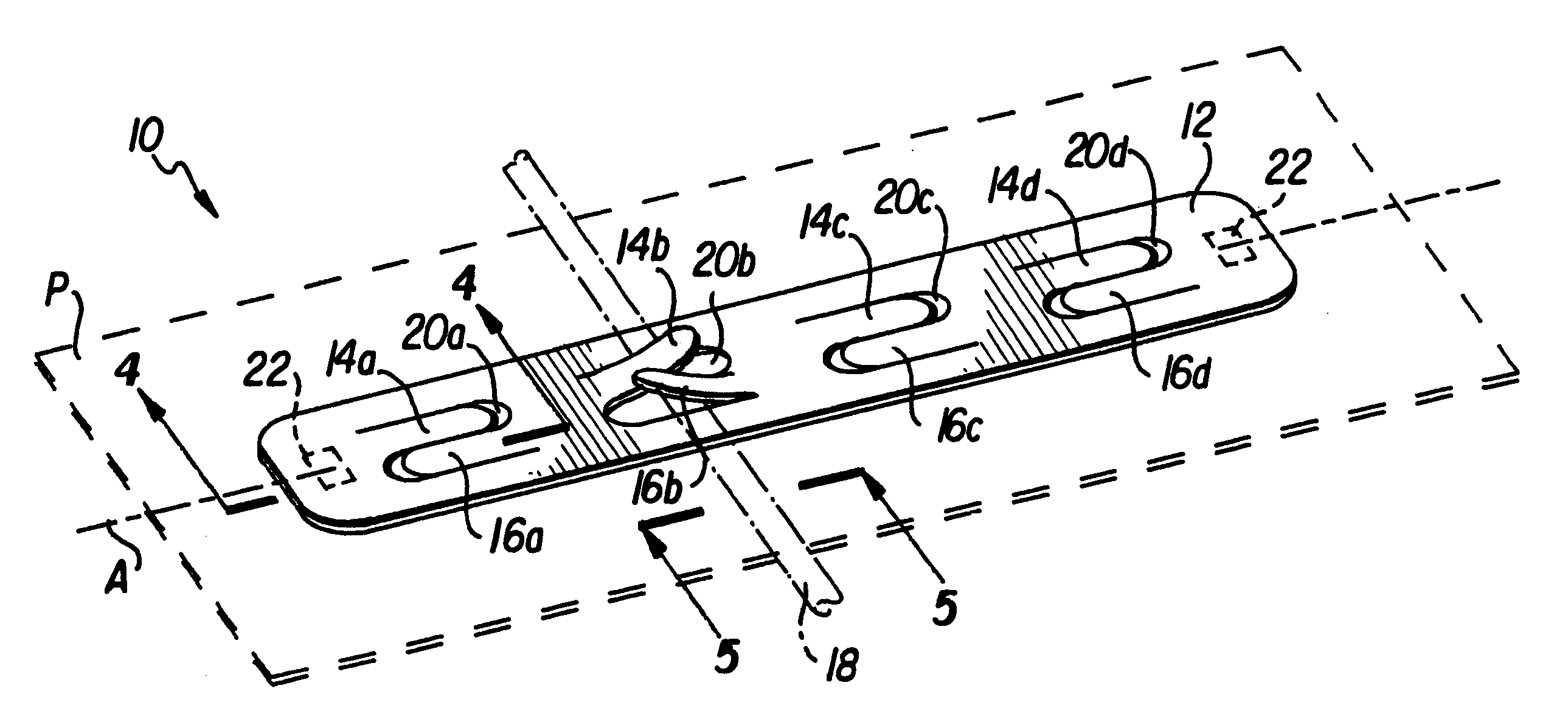 Line holder apparatus