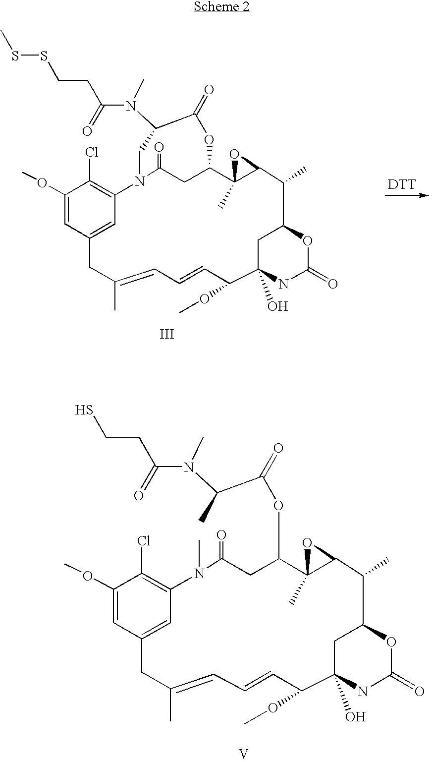 Process for preapring maytansinol