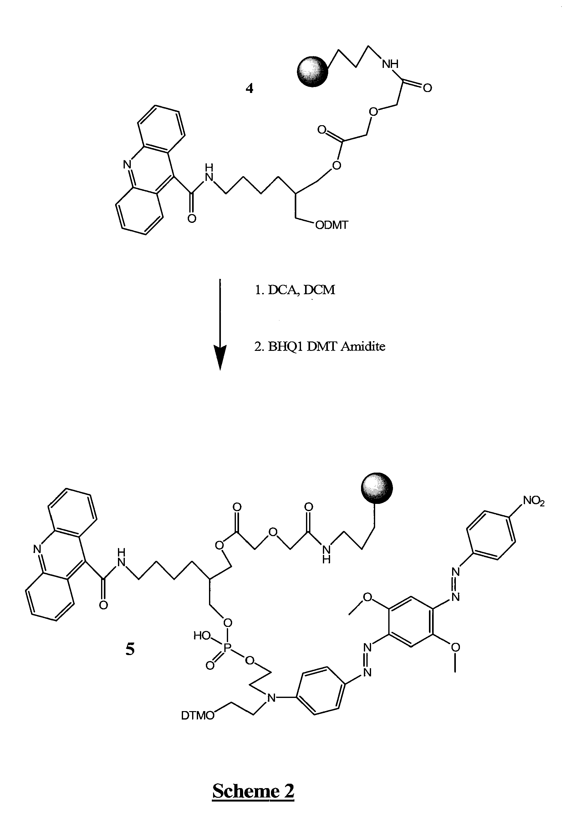 Stabilized nucleic acid dark quencher-fluorophore probes