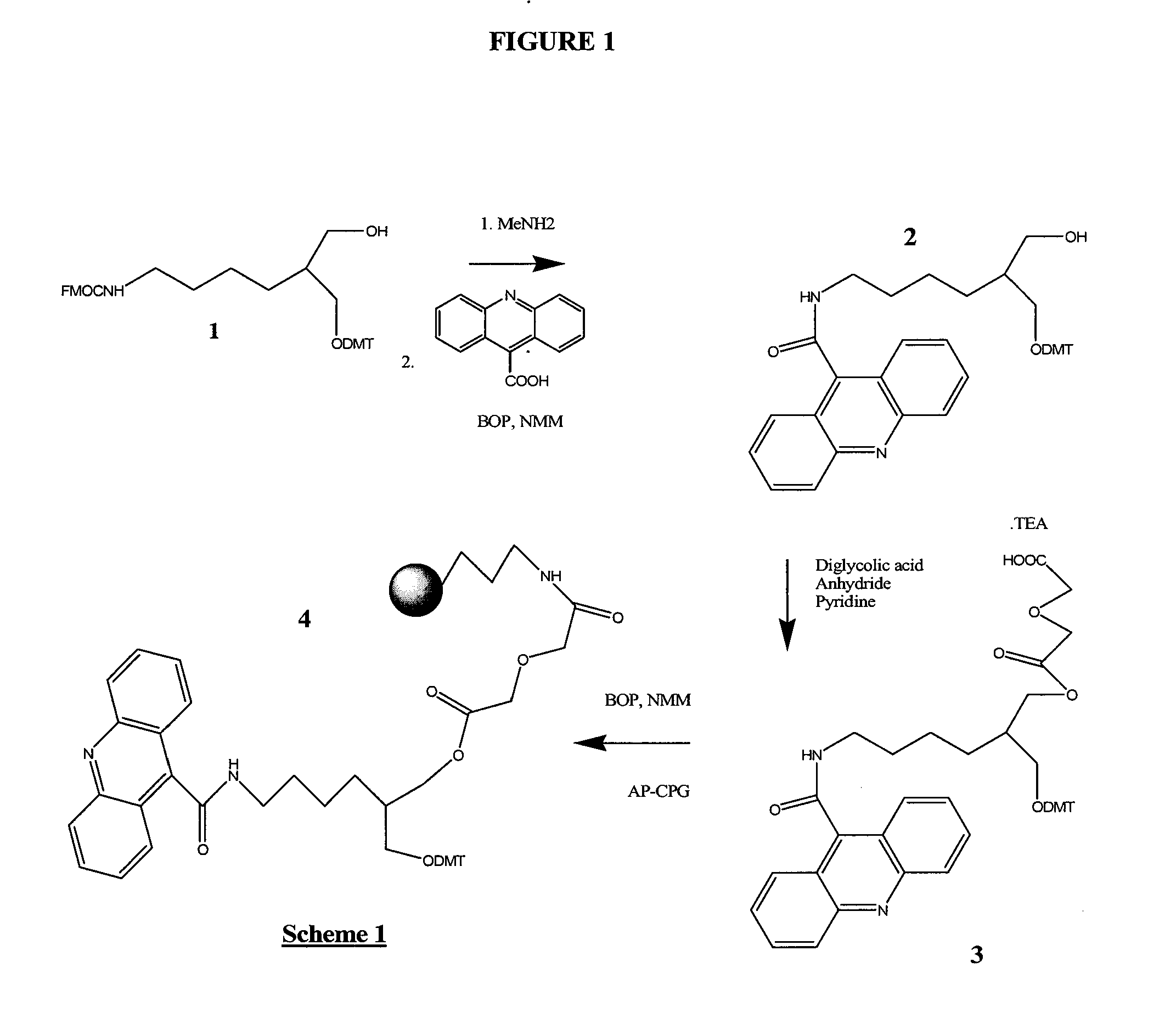 Stabilized nucleic acid dark quencher-fluorophore probes