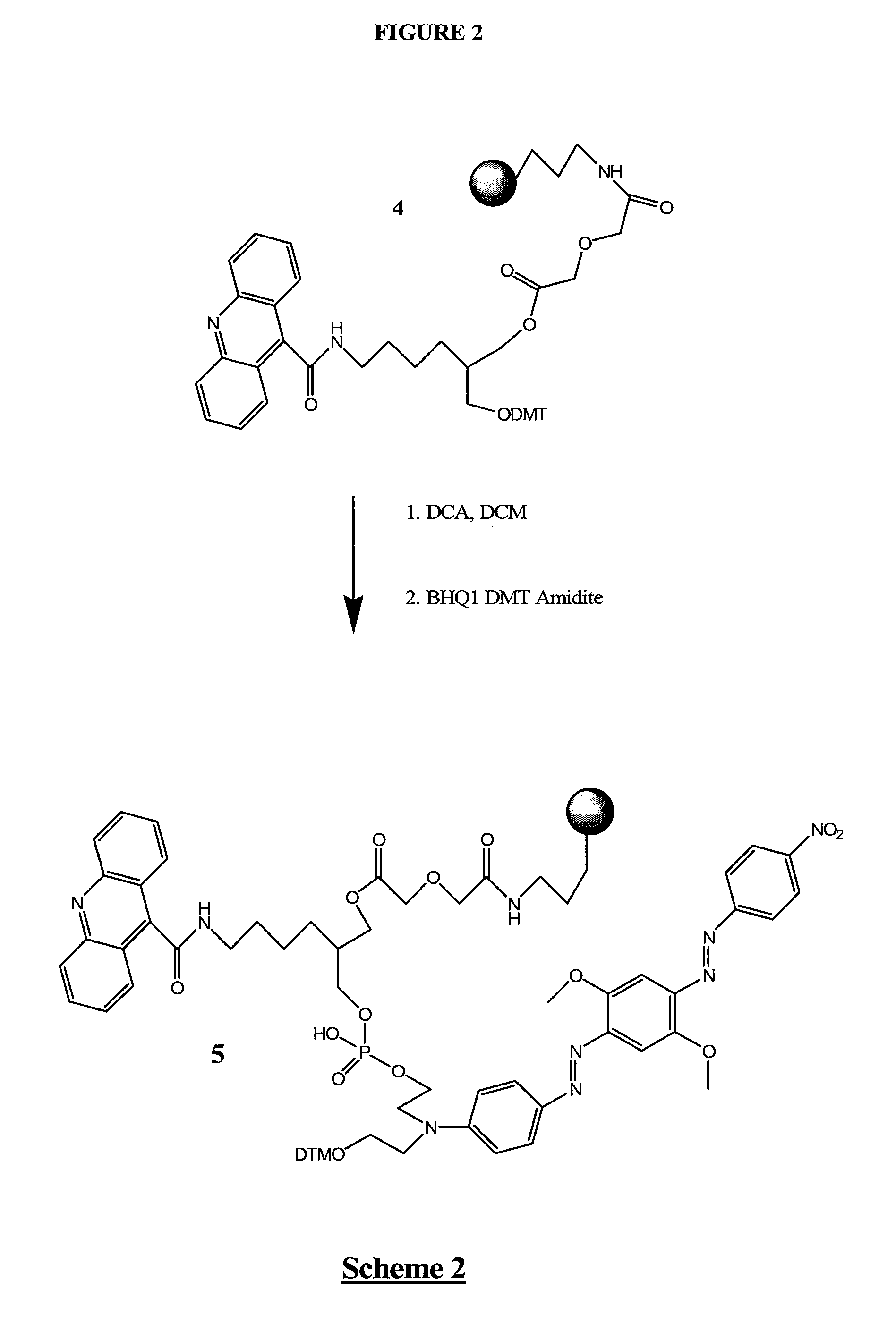 Stabilized nucleic acid dark quencher-fluorophore probes