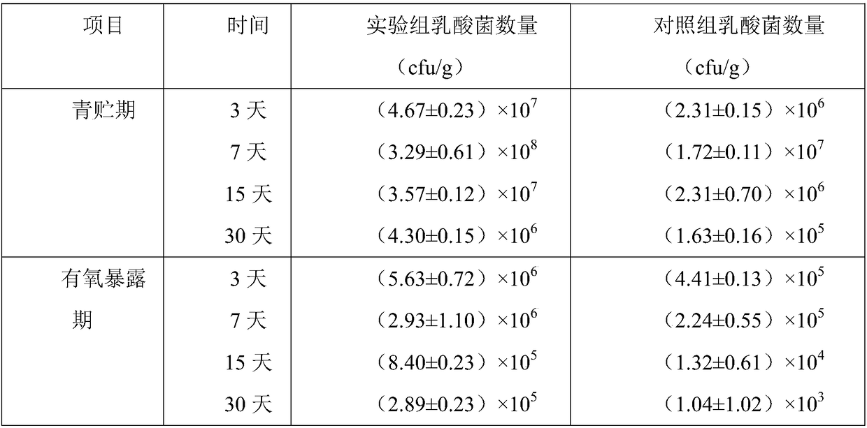 Sorghum sudanense and corn mixed silage feed and manufacture method thereof