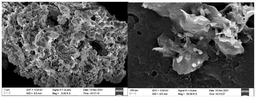 Preparation method for preparing functional activated carbon by carbonizing and activating enteromorpha and application of functional activated carbon