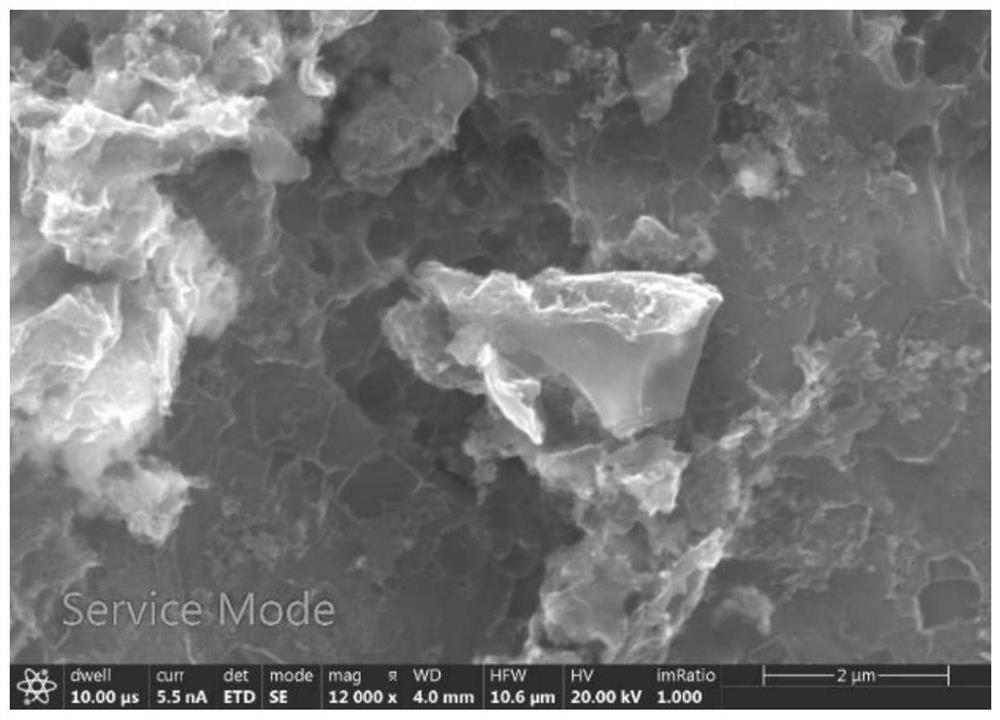 Preparation method for preparing functional activated carbon by carbonizing and activating enteromorpha and application of functional activated carbon