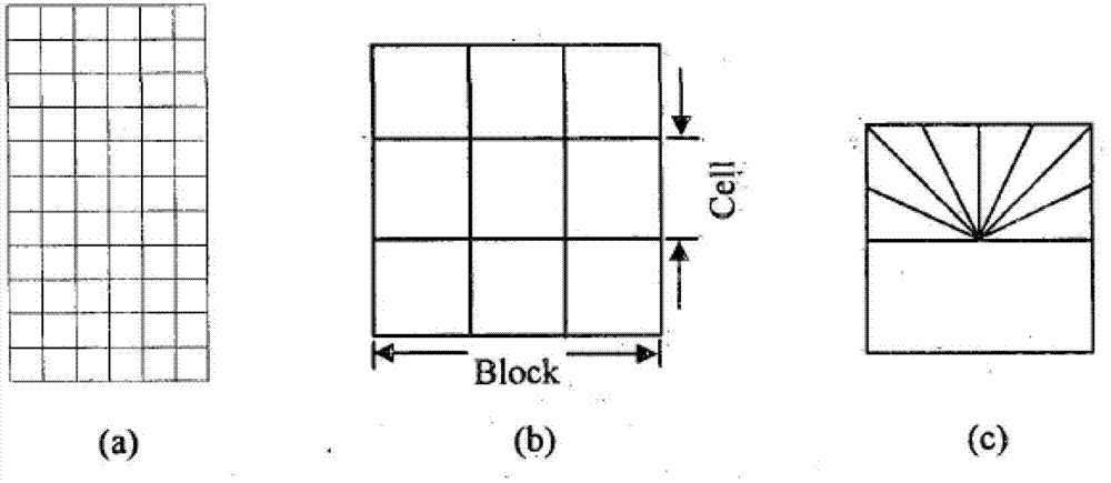 Method and system for automatically tracking moving pedestrian video based on particle filtering