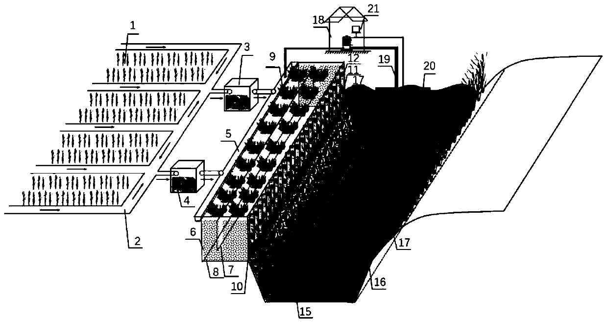 Efficient ecological purification system for farmland discharge