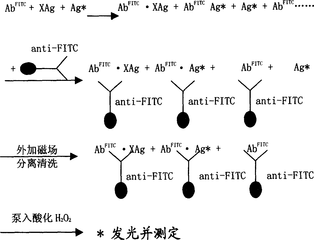 Magnetic separating direct chemical illuminating reagent and testing method using the same reagent