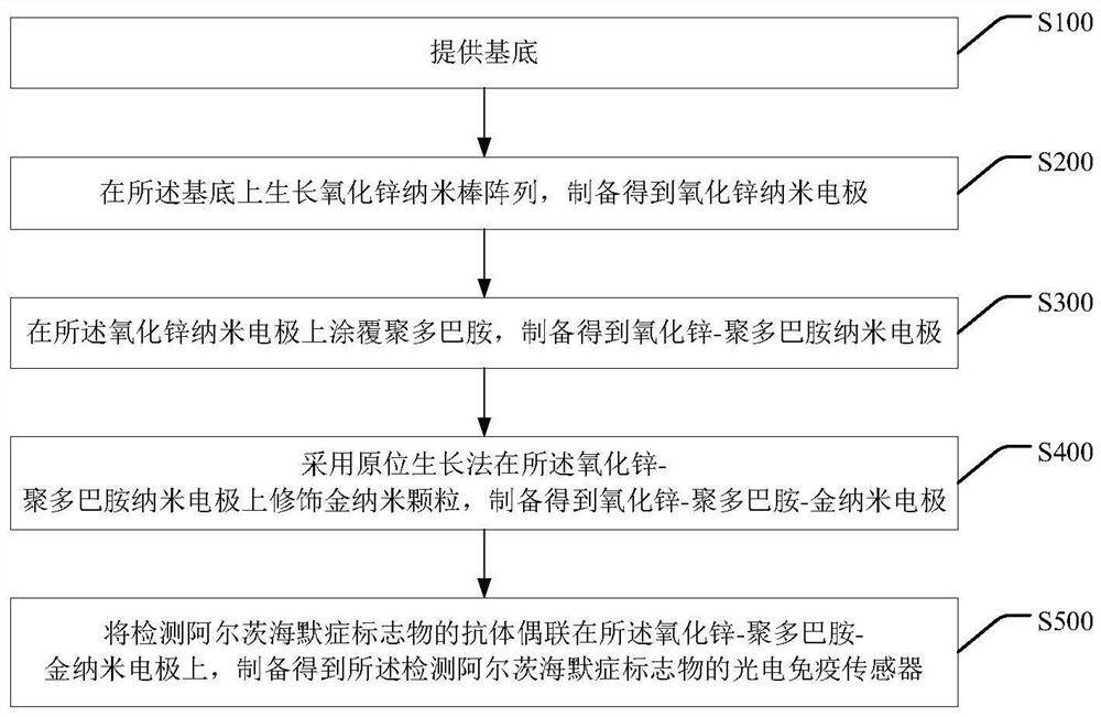 Photoelectric immunosensor for detecting Alzheimer's disease marker as well as preparation method and application of photoelectric immunosensor