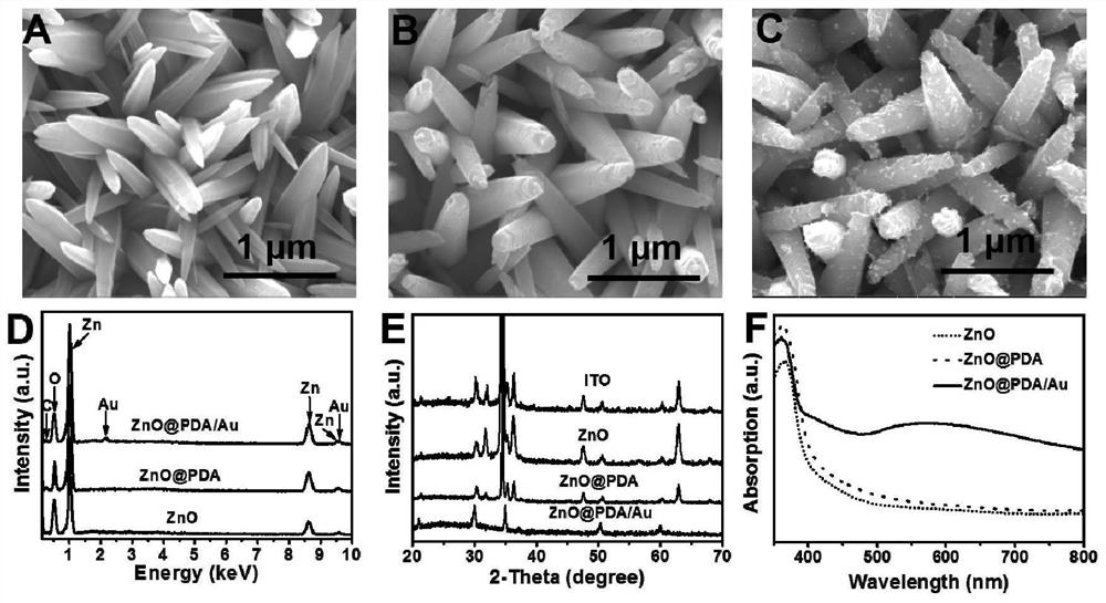 Photoelectric immunosensor for detecting Alzheimer's disease marker as well as preparation method and application of photoelectric immunosensor