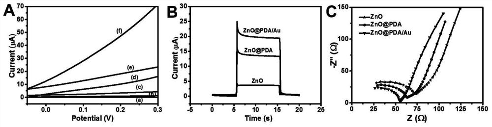 Photoelectric immunosensor for detecting Alzheimer's disease marker as well as preparation method and application of photoelectric immunosensor