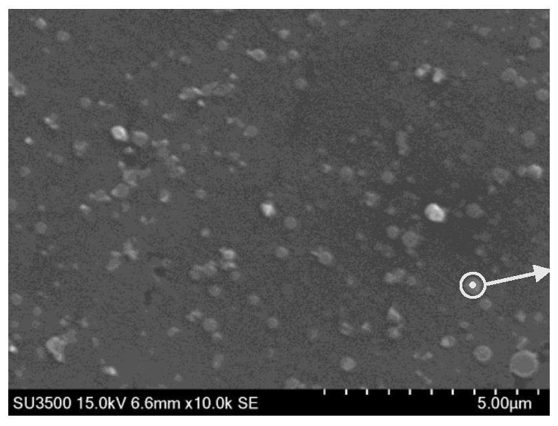 Dental whitening and degerming coating material and preparation method and application thereof