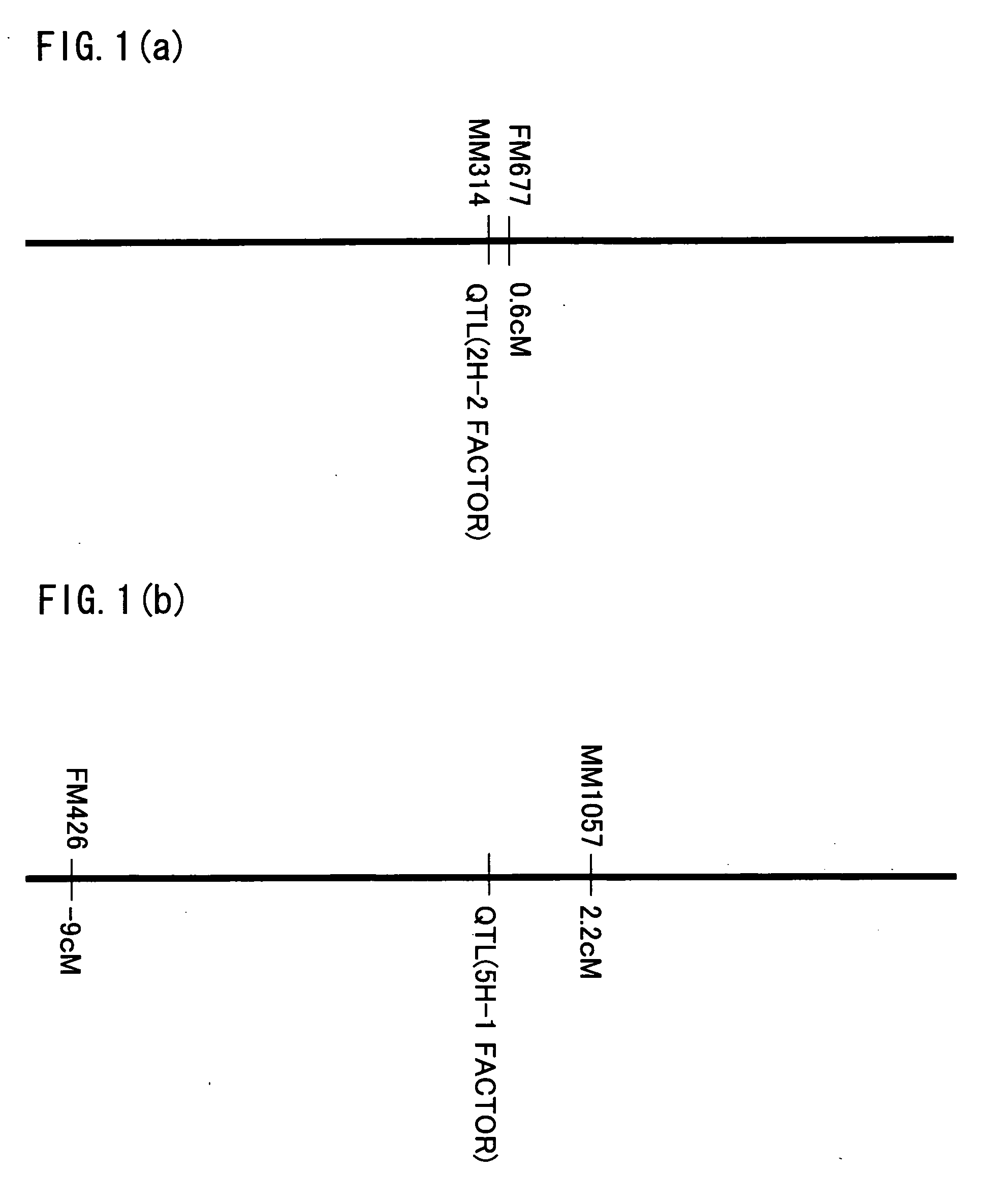 Genetic markers linked to fusarium head blight-resistance factor and utilization thereof