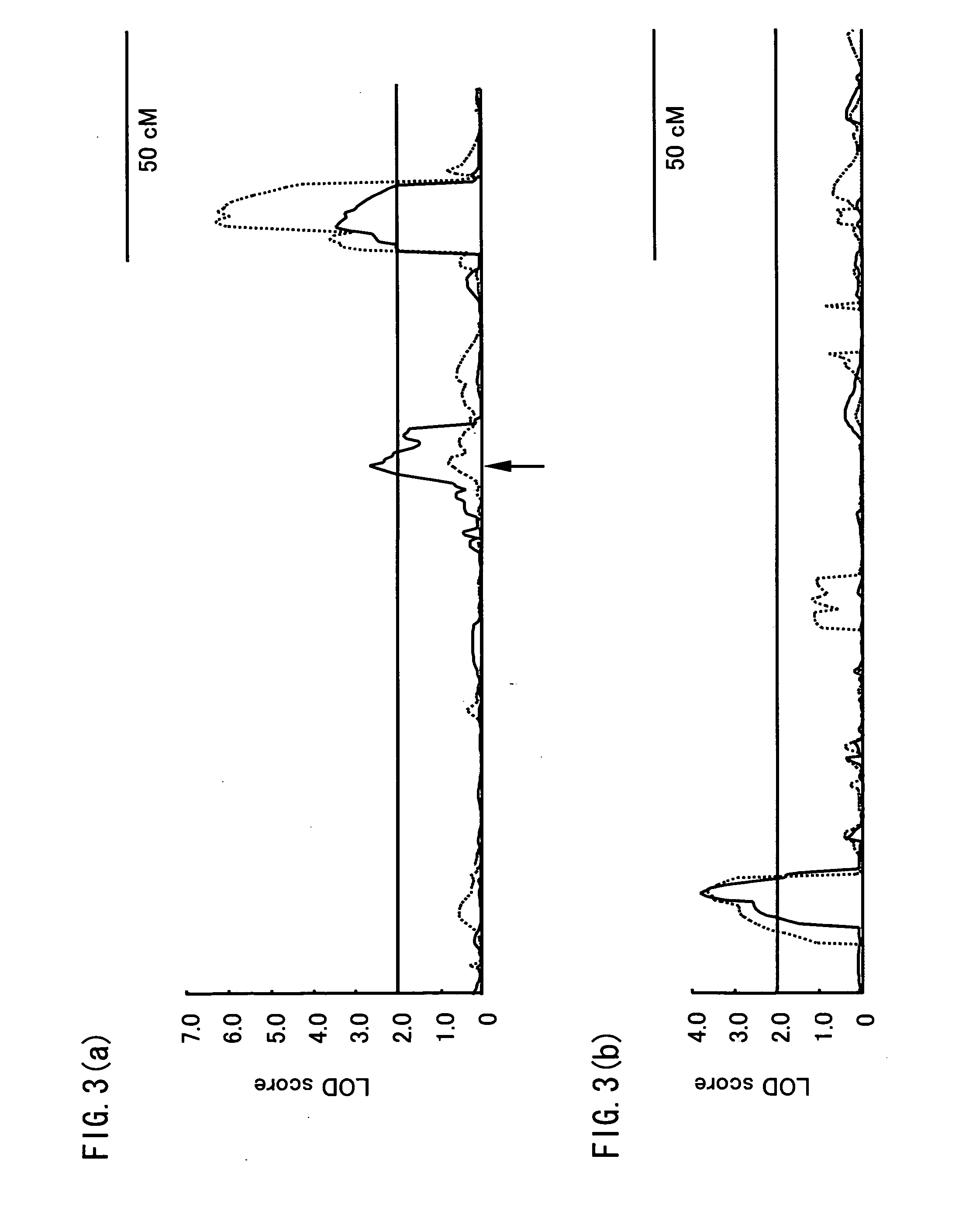 Genetic markers linked to fusarium head blight-resistance factor and utilization thereof