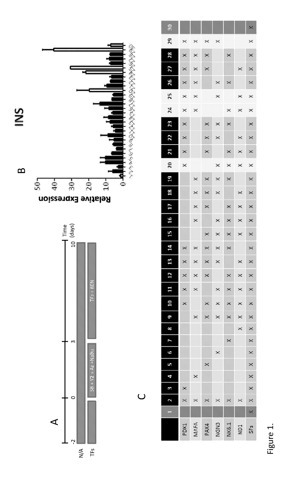 Methods of Obtaining Pancreatic Endocrine Cells