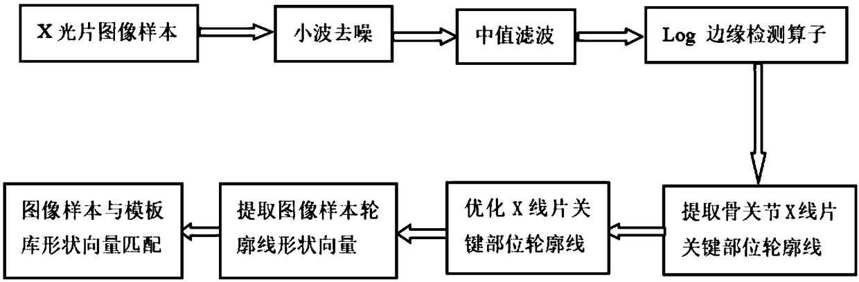 Bone joint X-ray film automatic identification and grading method