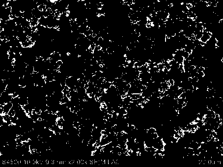 Radical-trapping lithium battery anode