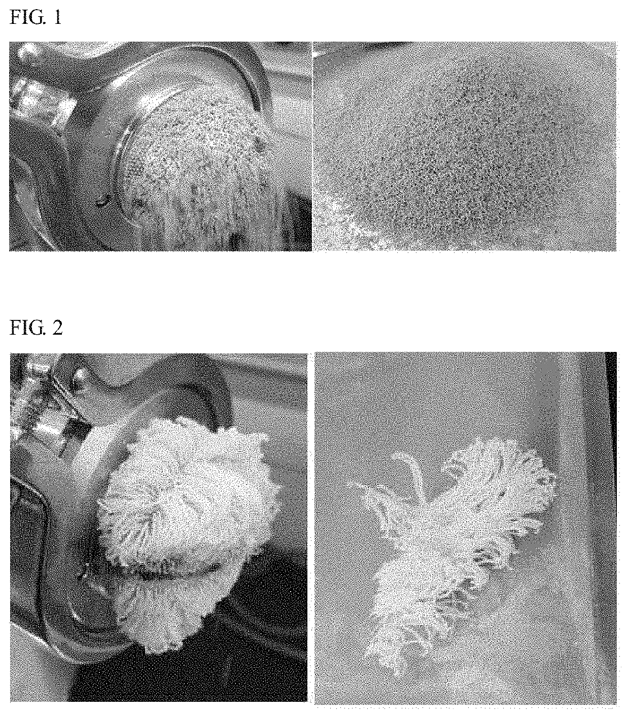 Granular composition comprising dietary fibers derived from green tea and method for preparing the same