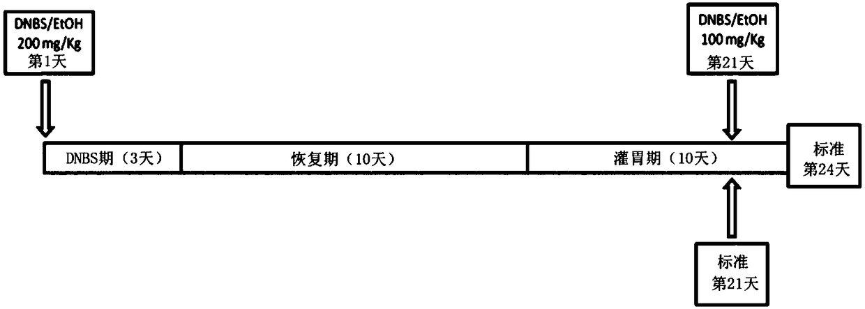 Faecalibacterium prausnitzii strain cncm 1-4573 for the treatment and prevention of gastrointestinal inflammation