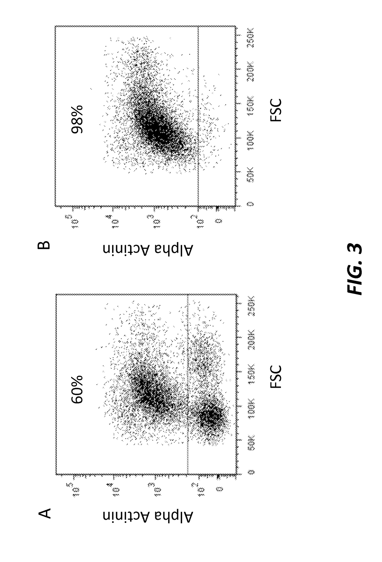 Method for differentiation of pluripotent stem cells into cardiomyocytes