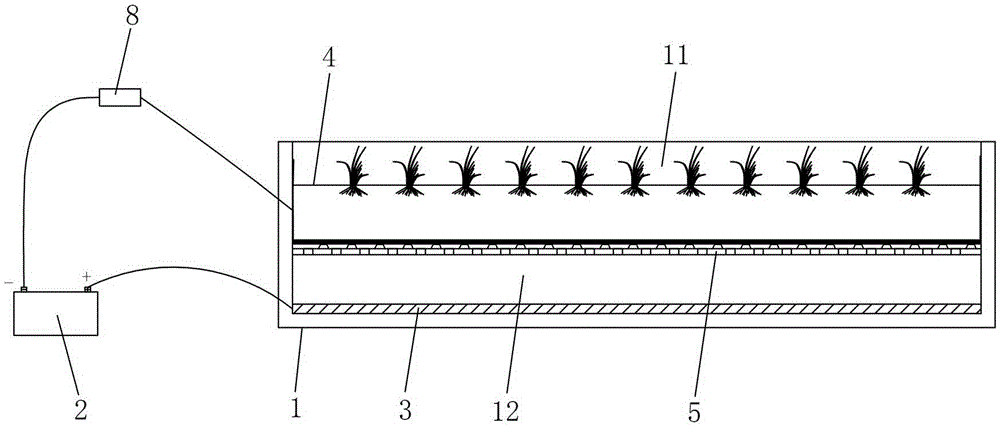 Electrolytic Oxygenation Rice Seedling Raising Device