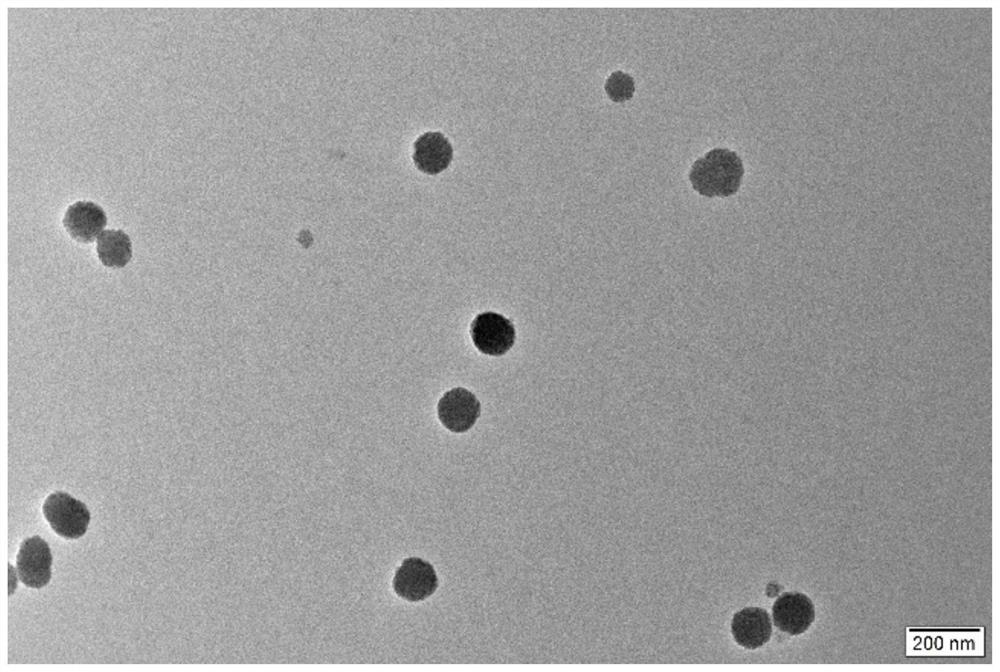 L-ascorbyl palmitate modified small molecule peptide liposome as well as preparation and application thereof