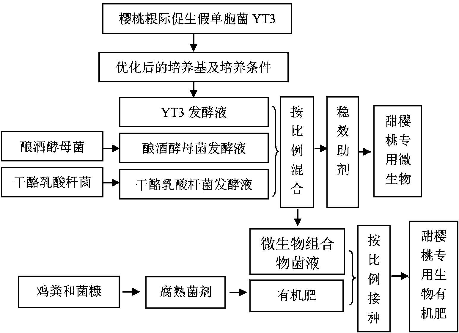 Special microbial agent and bio-organic fertilizer for sweet cherry and preparation methods of special microbial agent