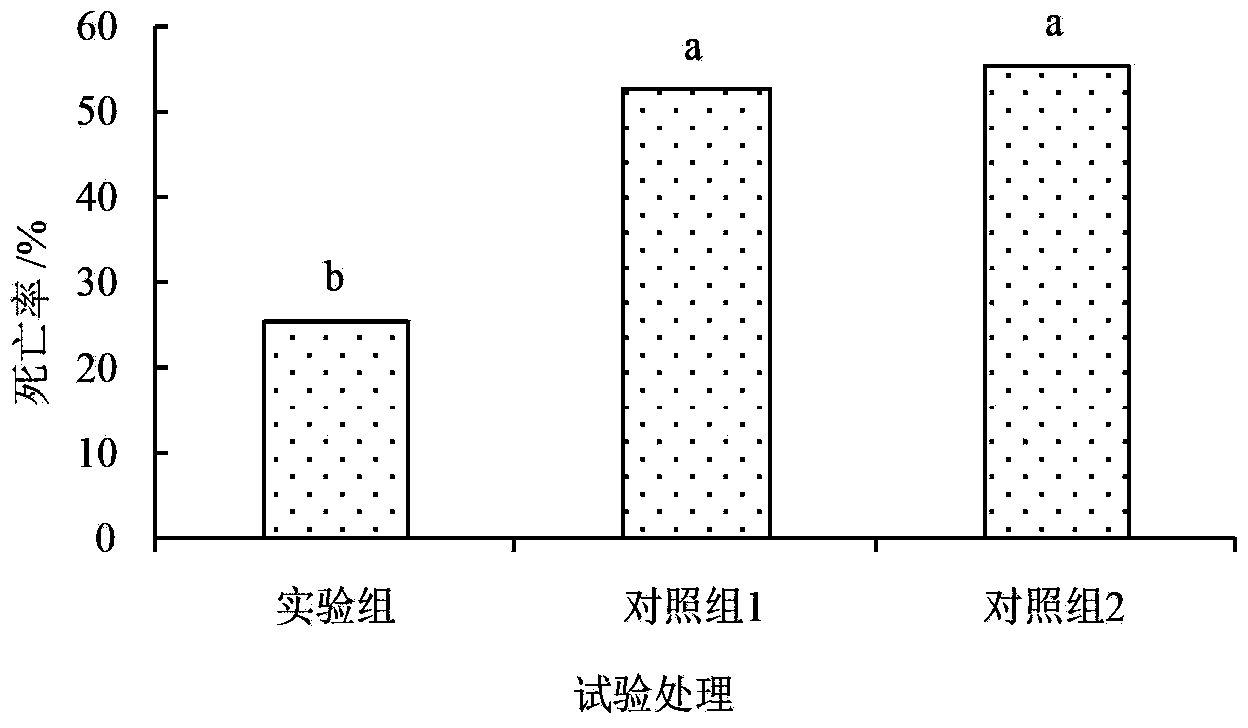 Special microbial agent and bio-organic fertilizer for sweet cherry and preparation methods of special microbial agent