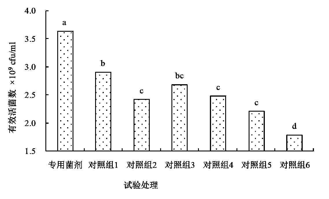 Special microbial agent and bio-organic fertilizer for sweet cherry and preparation methods of special microbial agent