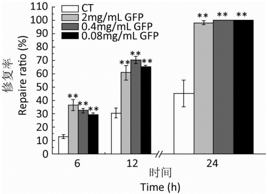 Grifolan extracting method and pharmaceutical application thereof