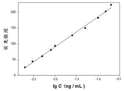 Rapid detection method for ochratoxin A