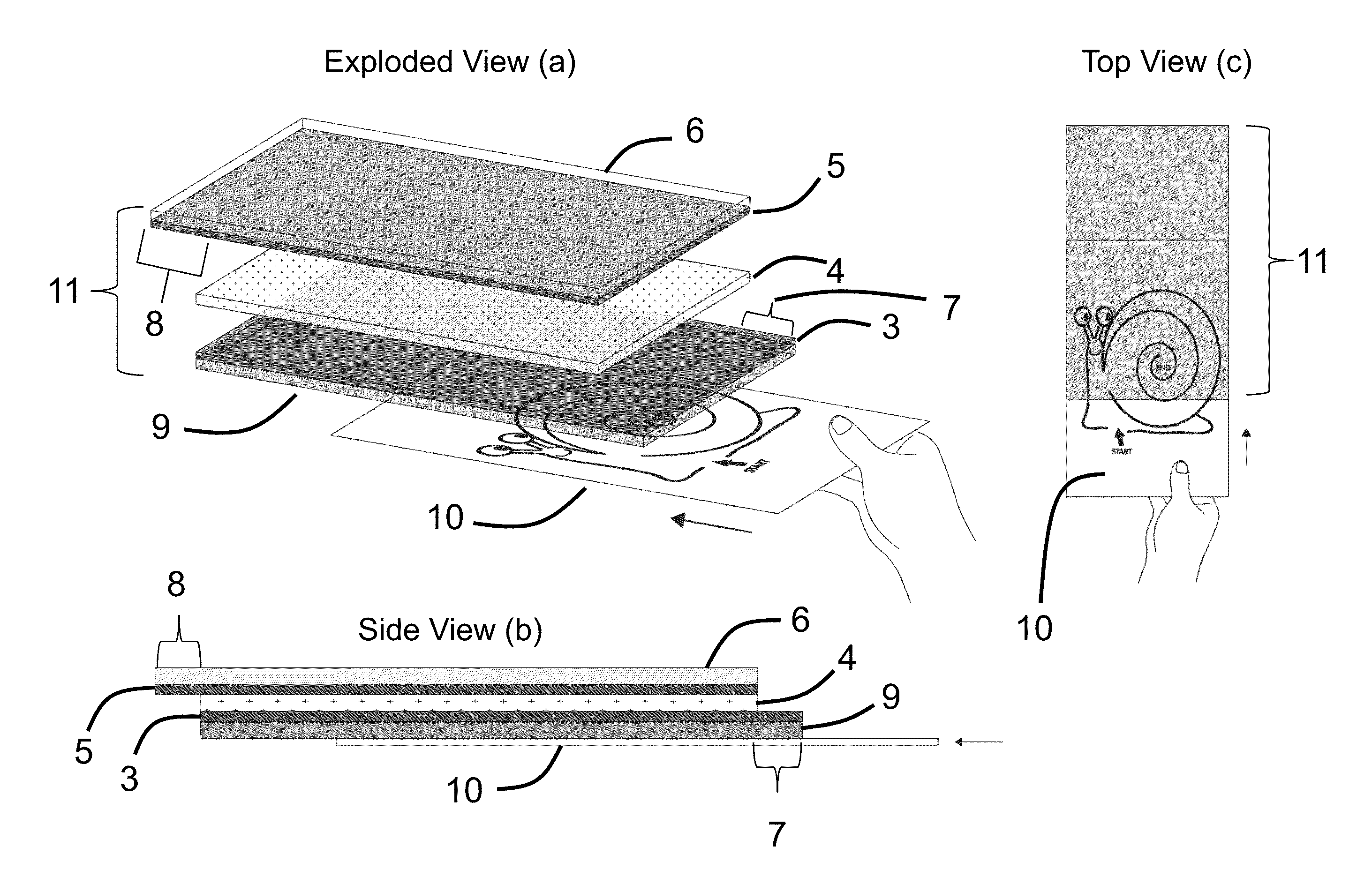 Electronic display with semitransparent back layer