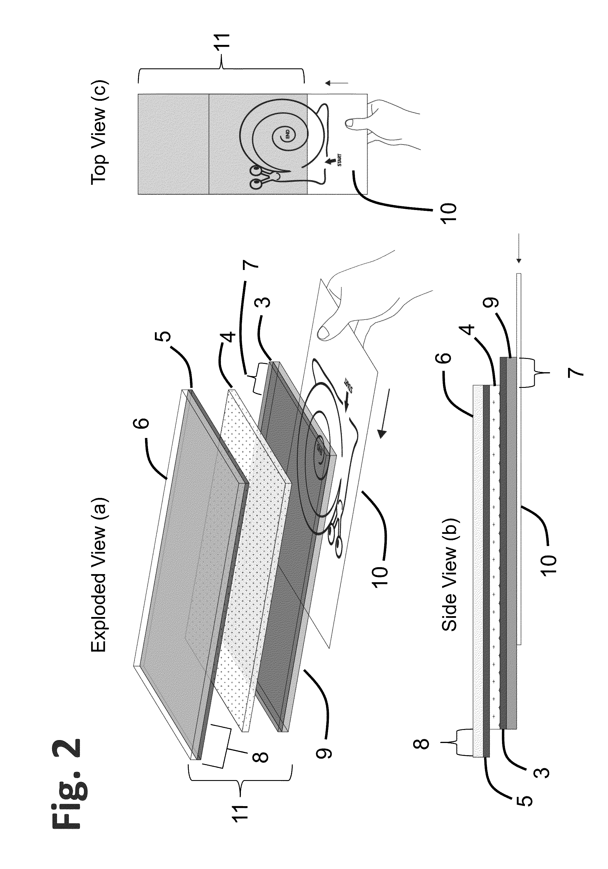 Electronic display with semitransparent back layer