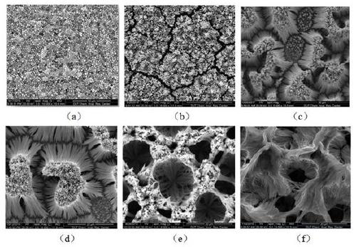 Surface preparation method capable of preparing various nanowire structures