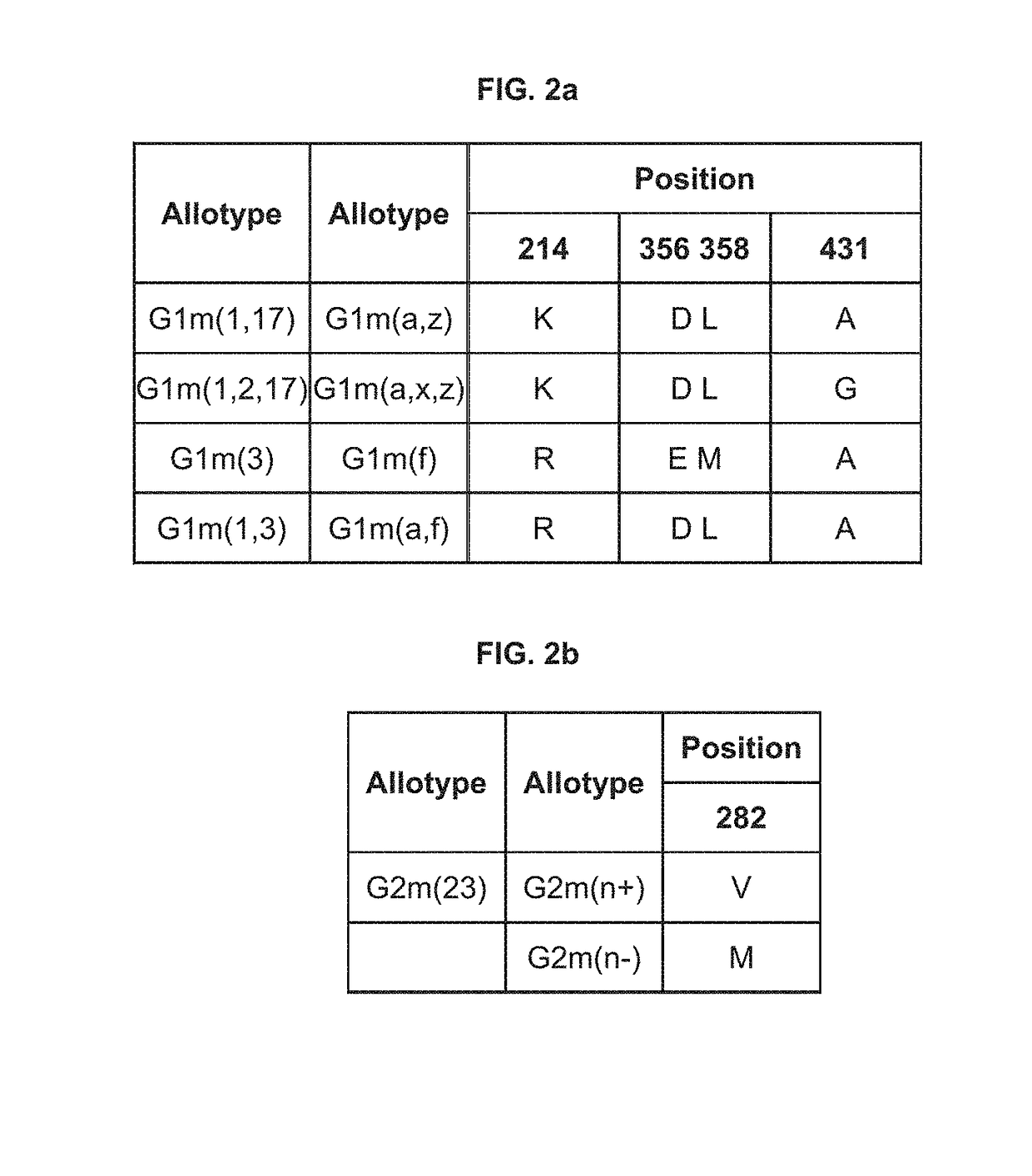 Novel immunoglobulin variants