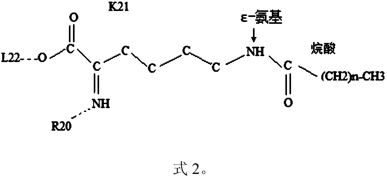 Novel growth hormone releasing hormone analogue peptide dimer and application thereof