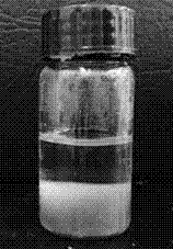 Preparation method of green metal absorbing material with cellulose and sericin