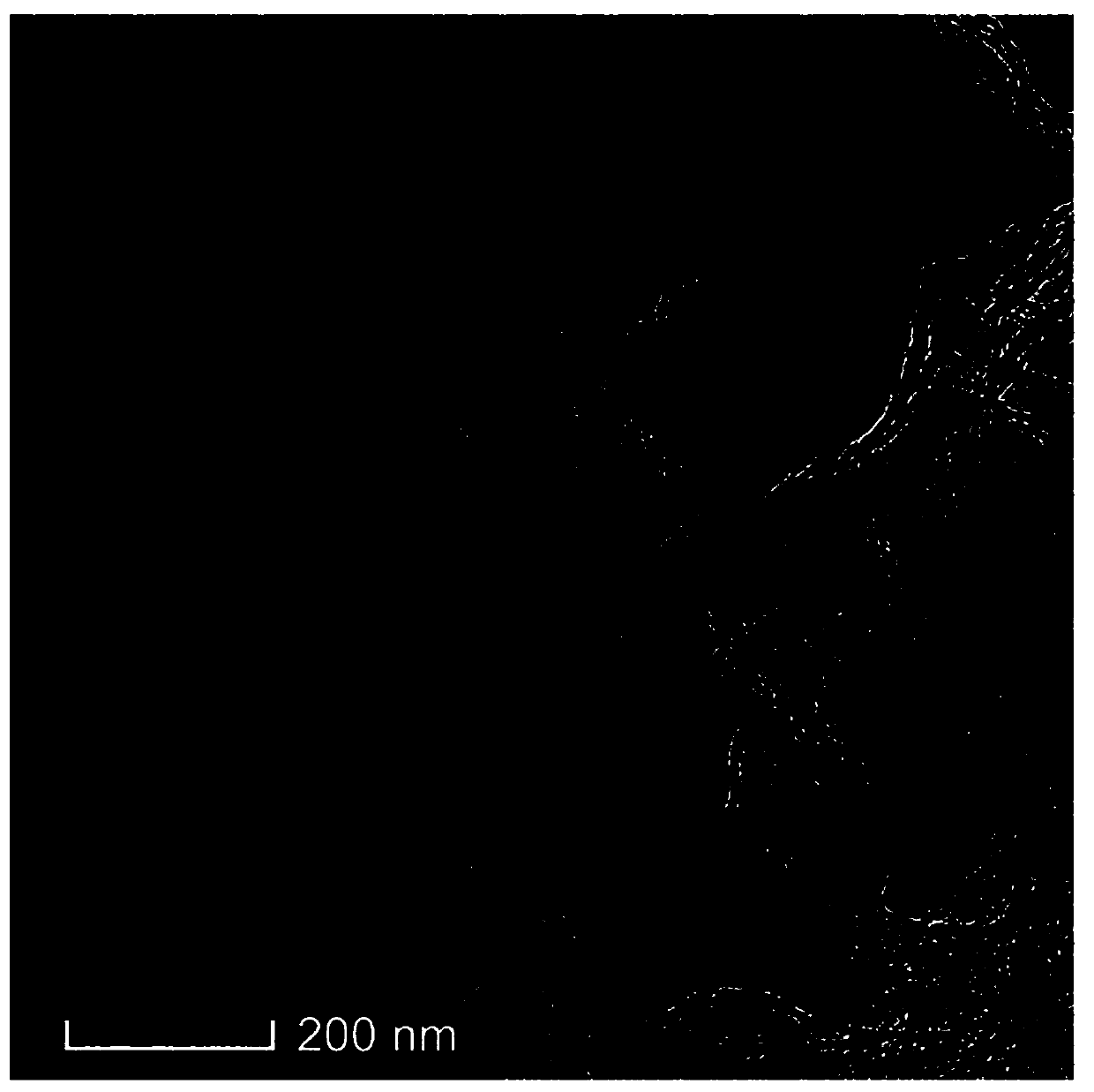 Carbon material with nitrogen, fluorine and transition metal co-doped graphene structure and one-step carbonization preparation method thereof