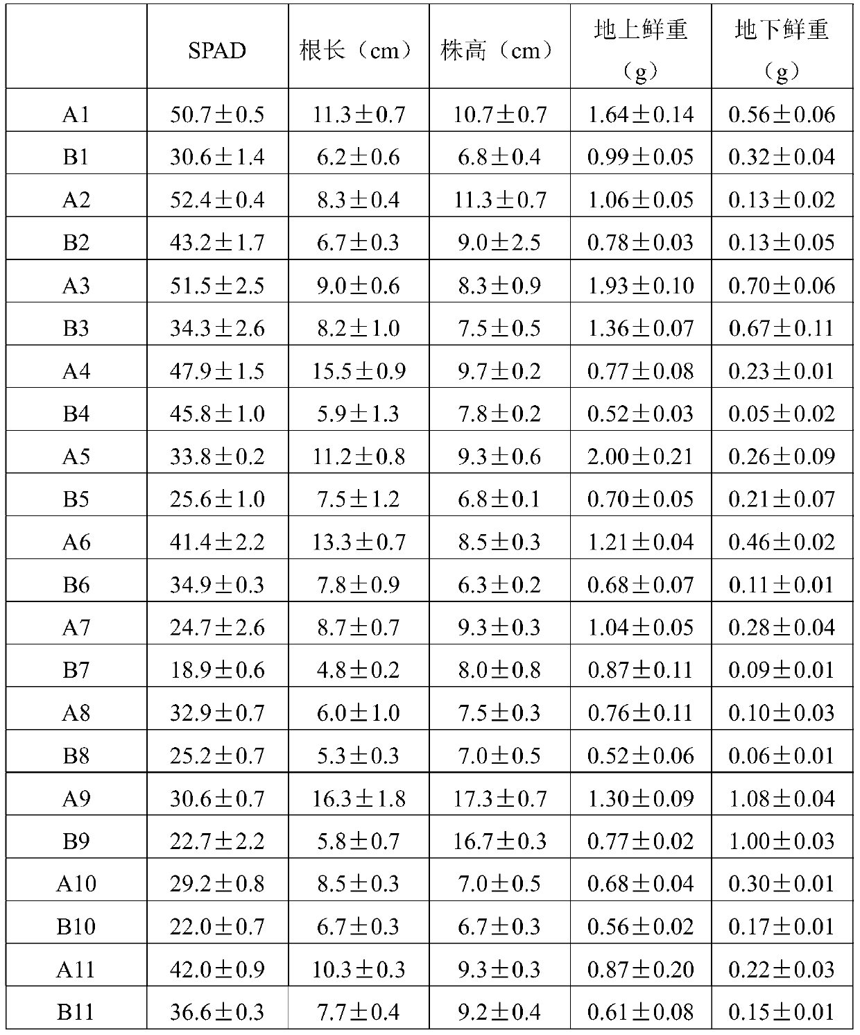 Universal vegetable cultivation organic substrate and preparation method and application thereof