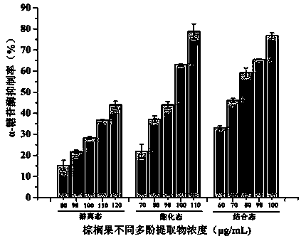 Use of palm fruit extract